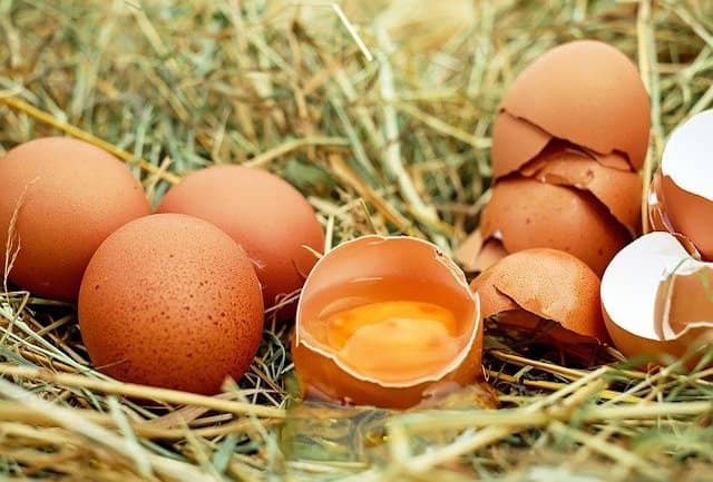Vajíčka obsahují zdraví prospěšné látky
