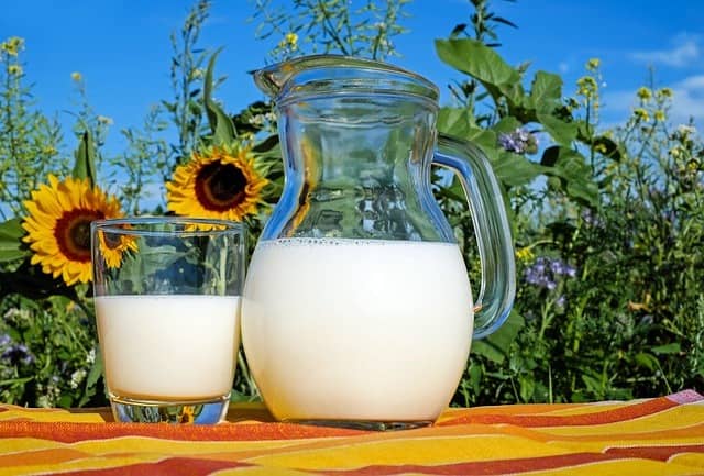 Mléko a mléčné výrobky jsou bohaté na vimtanim B2