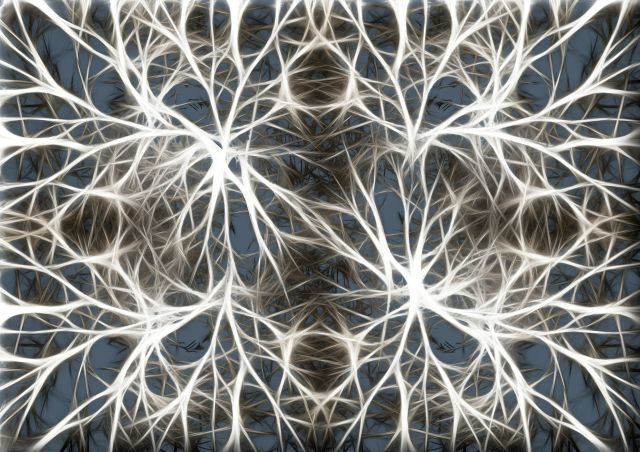 Neuróny