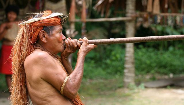Člověk z kmene Yagua hrajúci na foukačku