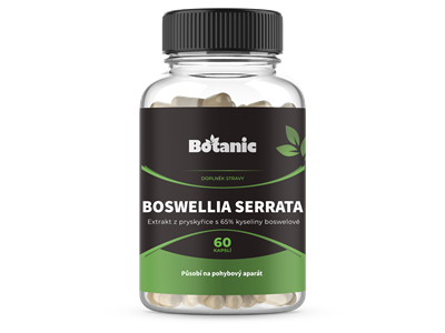Boswellia Serrata - Extrakt z pryskyřice s 65% kyseliny boswellové v kapslích