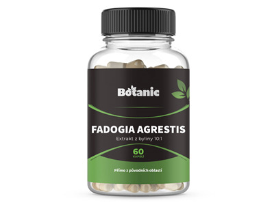 Fadogia agrestis - Extrakt z byliny 10:1